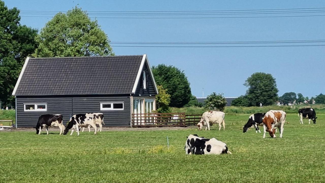 City Farmers Lodge, A Guesthouse With A Skyline View In Rural Ámsterdam Exterior foto
