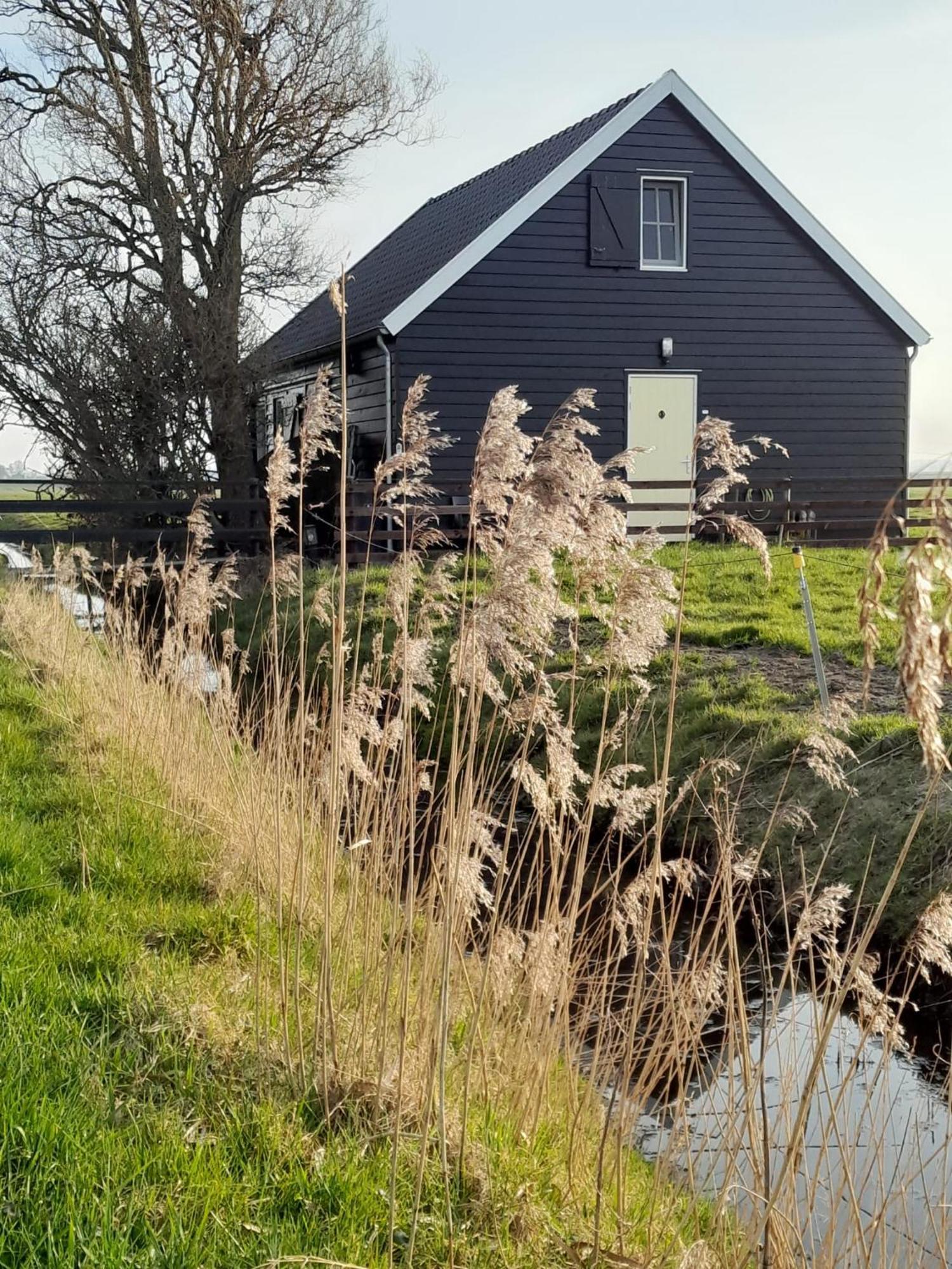 City Farmers Lodge, A Guesthouse With A Skyline View In Rural Ámsterdam Exterior foto